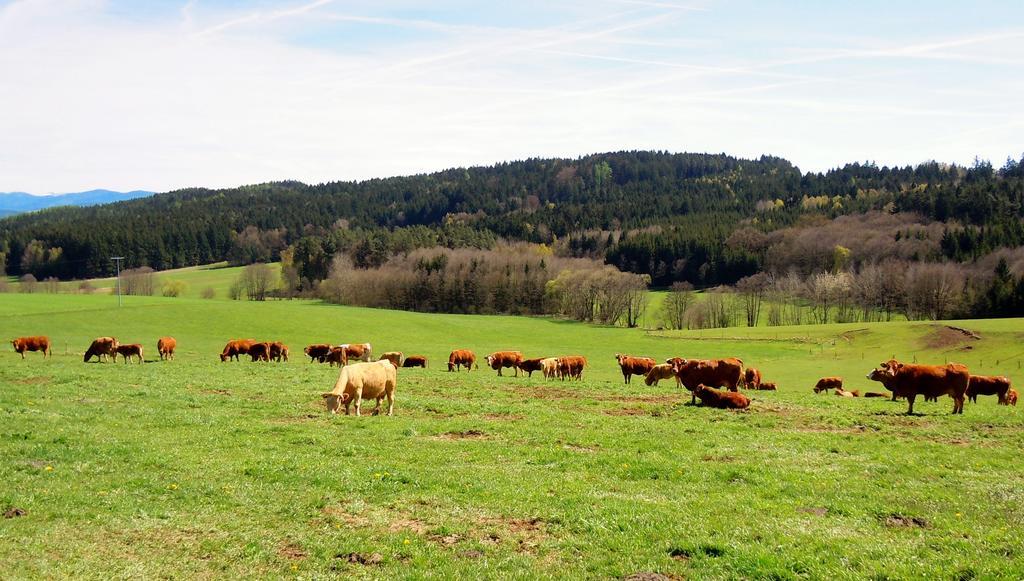 Hotel Lugerhof 2*