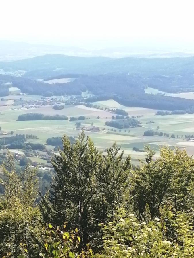 Lugerhof Weiding (Cham)